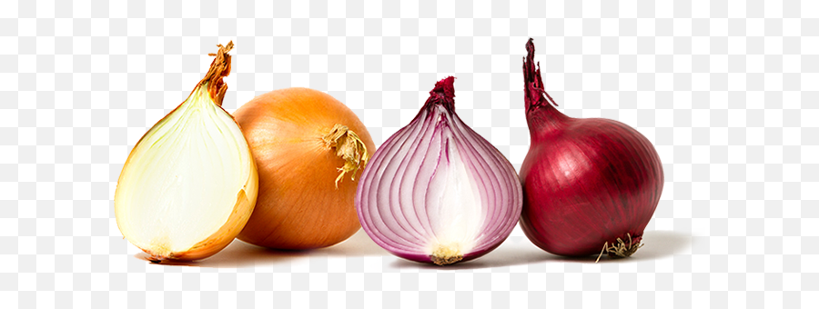 Reflections - Benjamin Partridge Medium Onion Red And White Png,Onion Png