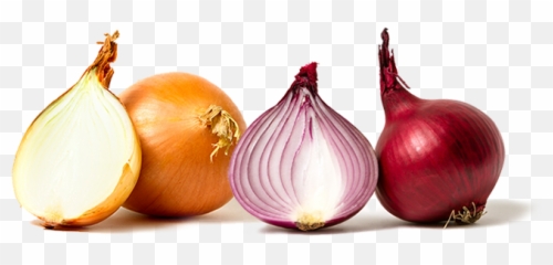 Reflections - Benjamin Partridge Medium Onion Red And White Png,Onion Png