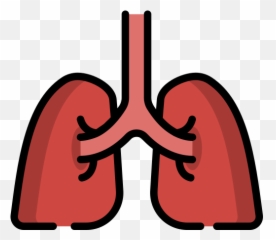 Lung - Free healthcare and medical icons Pulmon Icon png