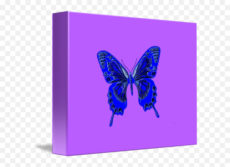 Blue Butterfly Lavender Background By L Brown - Lycaenid Png,Blue Butterfly Transparent Background