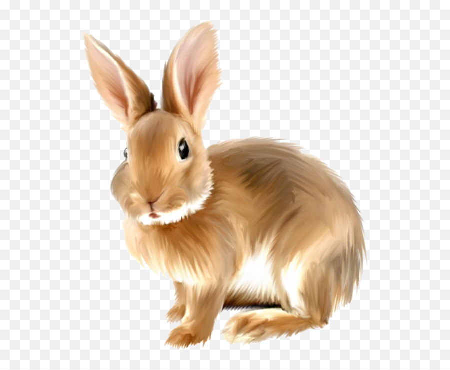 Rabbit Bunny Transparent Background Png - Transparent Rabbit Clipart,Rabbit Transparent Background
