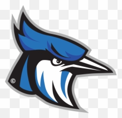 Blue Jay Head Png U0026 Free Headpng Transparent - Raytown High School Blue Jays,Blue Jay Png