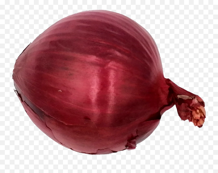 Onion Png Transparent Onlygfxcom - Red Onion,Onion Transparent Background