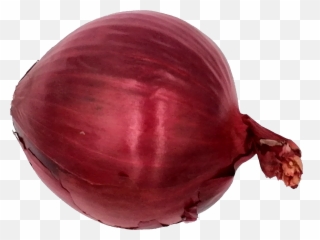 Onion Png Transparent Onlygfxcom - Red