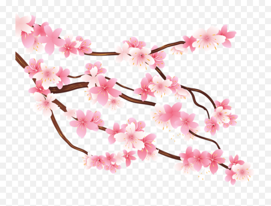 Download Free Png Pink Spring Branch Images Transparent - Transparent Background Cherry Blossom Tree Png,Sakura Petals Png