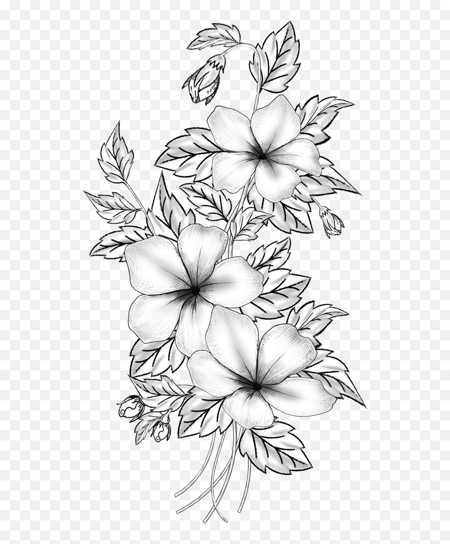 Floral Design Cut Flowers Drawing - Border Design For Sketches Png,Flower Drawing Png