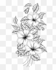 Floral Design Cut Flowers Drawing - Border Design For Sketches Png,Flower Drawing Png