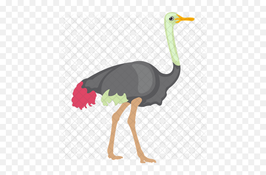 Ostrich Icon - Ostrich Png,Ostrich Png