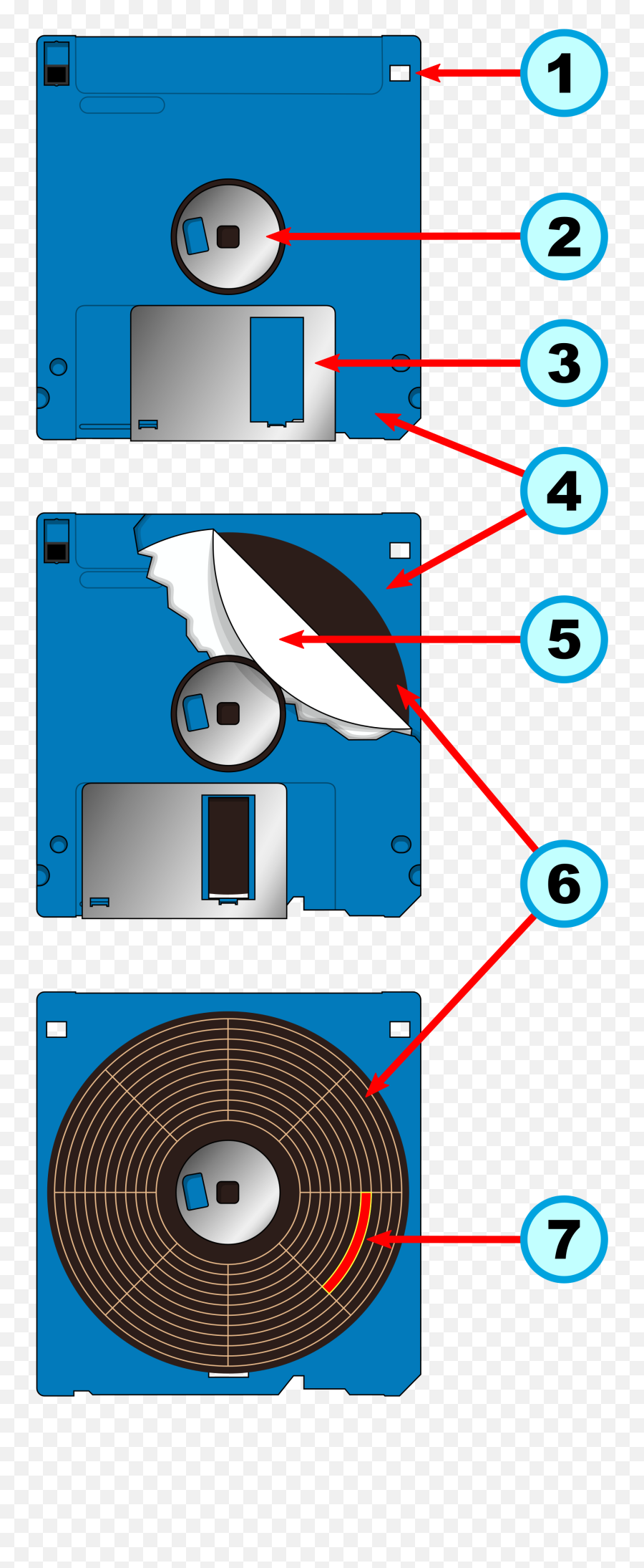 Floppy Disk Internal Diagram - Floppy Disk Png,Floppy Disk Png