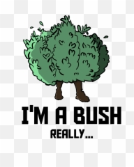 Hd Frankkesh Fortnite Bush Home Png