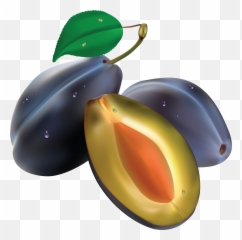 Plum Png Image - Realistic Svg,Plum Png
