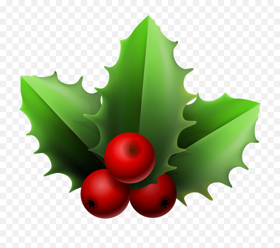 Mistletoe Clipart Transparent Png Image - Mistletoe,Mistletoe Png