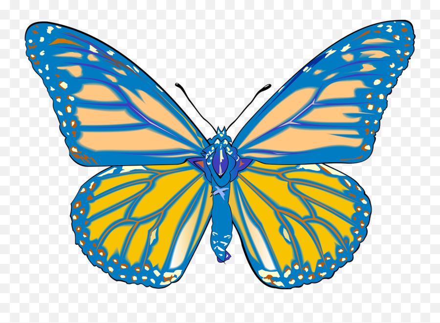 Butterfly Png 1280x884 - Free Image Bank Imagenes Gratis Mariposas Con Fondo Blanco,Butterfly Png