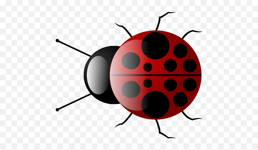 Make Your Own Ladybug Beginners - Lady Bug Clear Ladybug Drawing Png,Transparent Ladybug