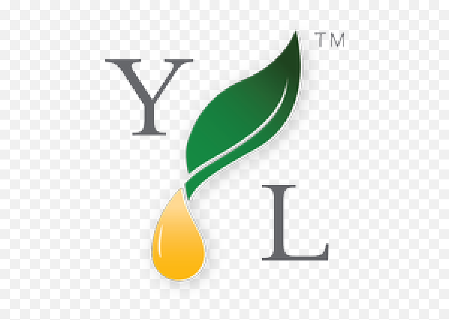 Young Living Essential Oils - Transparent Young Living Logo Png