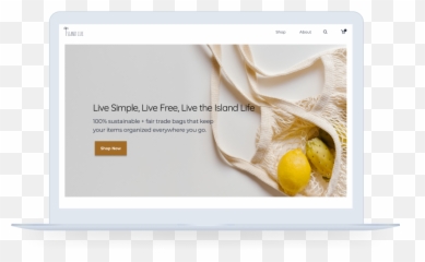 Island Life Case Study U2014 Rachelhannahkrusedesign - Instacart Shopper png