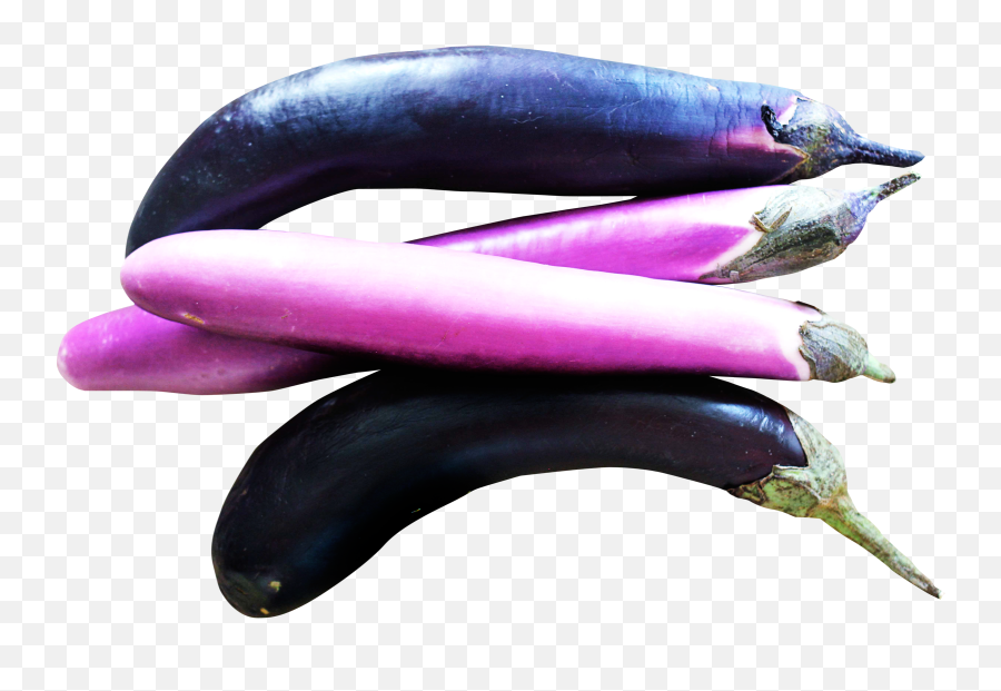 Download Eggplants Png Image For Free - Plante Aubergine Clipart Transparent,Eggplant Transparent