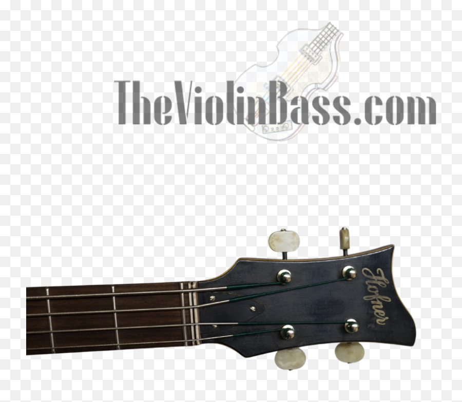 The Violin Bass Store - Höfner Png,Hofner Icon Bass