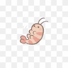 Cute Animal Png Image