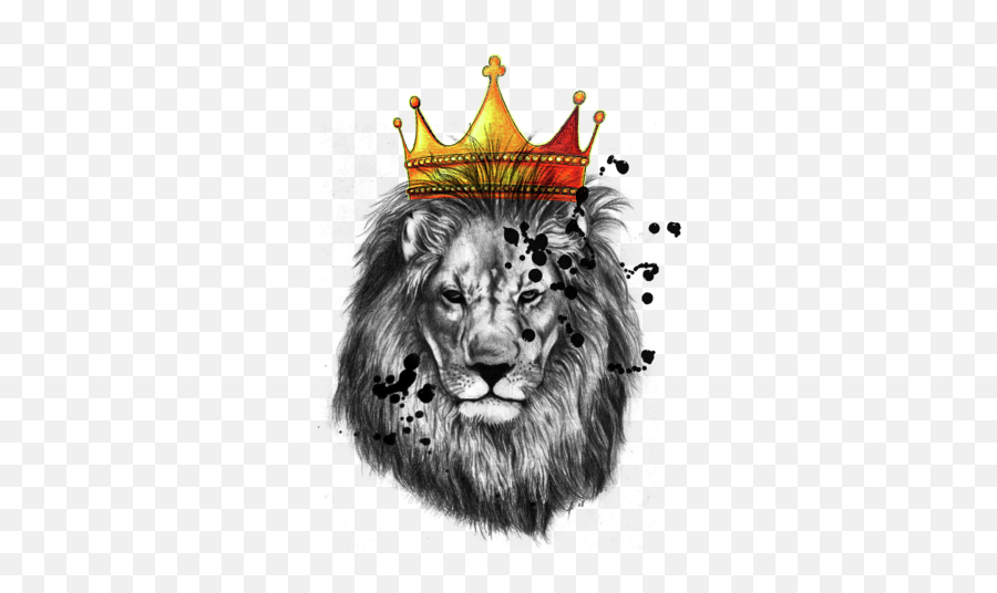 Lion King Womenu0027s T - Shirt For Sale By Mark Ashkenazi Crown King Lion Drawing Png,Lion Crown Icon