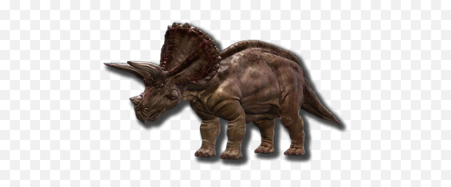 Download Free Triceratop Transparent Image Hd Icon - Transparent Triceratops Render Png,Triceratops Icon