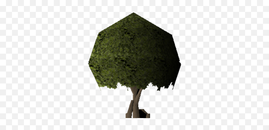 Swaying Tree Old School Runescape Wiki Fandom Png Witchwood Icon Rs3
