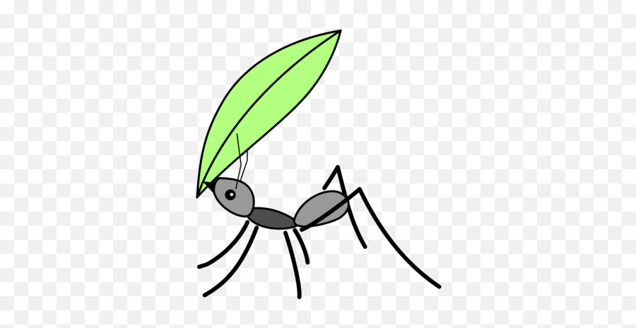 Flyline Artleaf Png Clipart - Royalty Free Svg Png Ant Carrying A Leaf,Ant Png