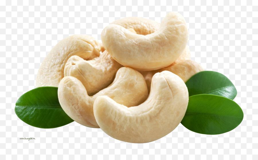 Cashew Nut Png - Cashew Png,Cashew Png