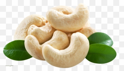 Cashew Nut Png - Cashew Png,Cashew Png