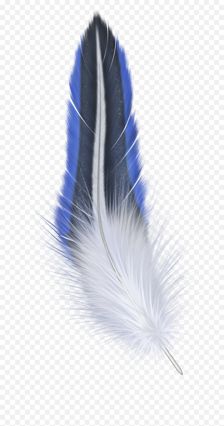 Feather Png - Blue Feather Png,Feather Transparent Background