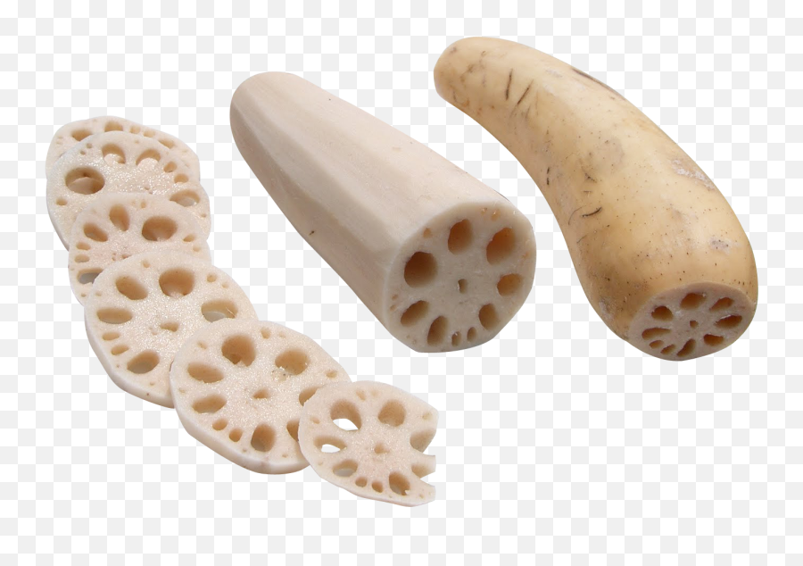 Download Lotus Root Png Image For Free - Lotus Root Png,Lotus Png