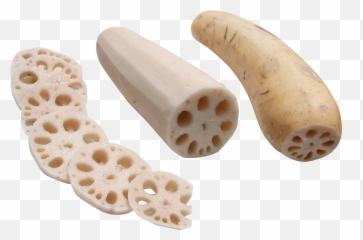 Download Lotus Root Png Image For Free - Lotus Root Png,Lotus Png