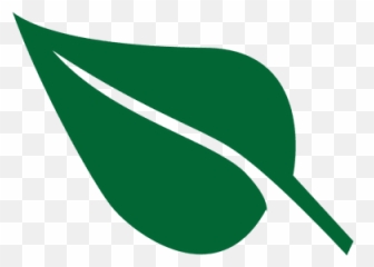 Hoja Vector Picture - Leaf Vector Transparent Png,Hojas Png