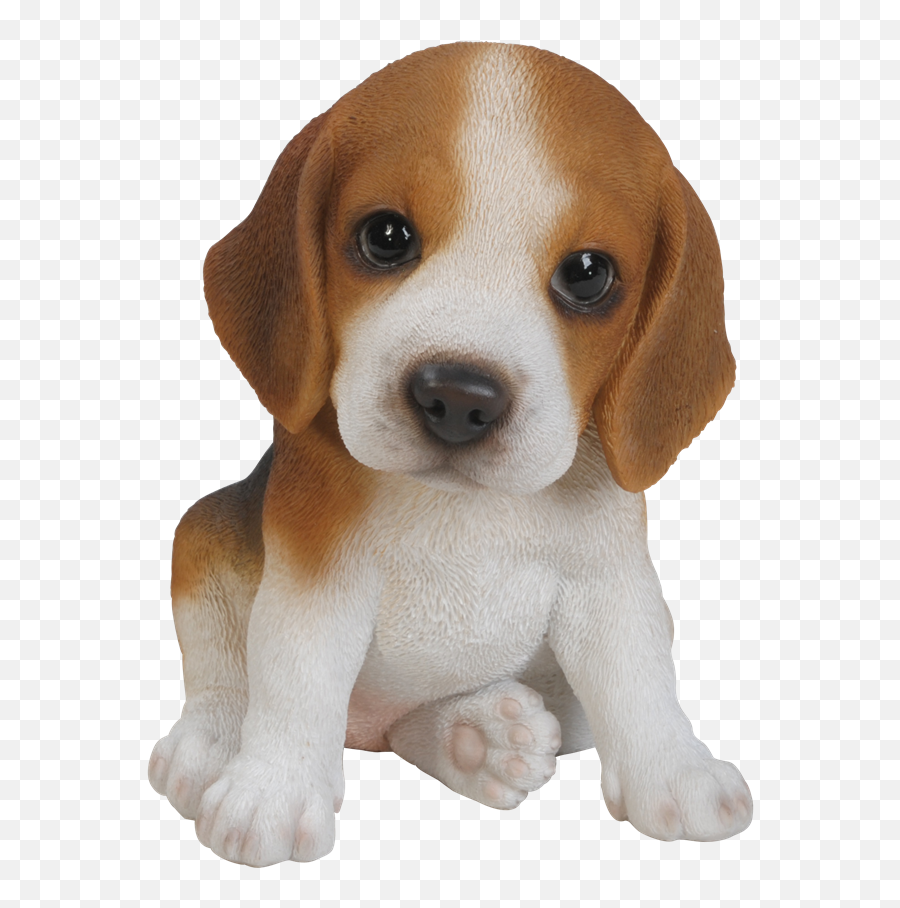 Beagle Dog Png 2 Image - Beagle Puppy,Beagle Png