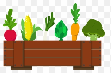 Free Png Plant - Konfest