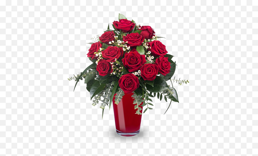 Never - Ending Love 12 Red Roses Buon Compleanno Stefania Divertenti Png,Red Flowers Png