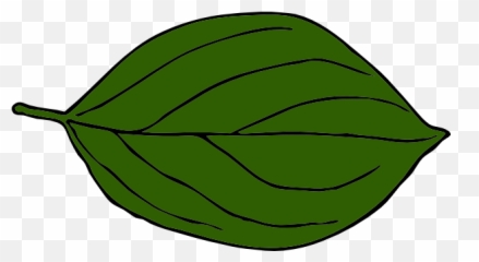 Download Green Leaves Clipart Fall - Dark Green Leafs Png Dark Green Leaves Clipart,Leafs Png