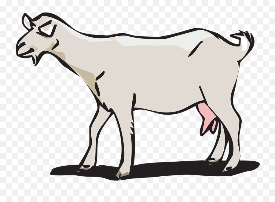 Goat Animal - Free Vector Graphic On Pixabay Koza Clipart Png,Goat Png