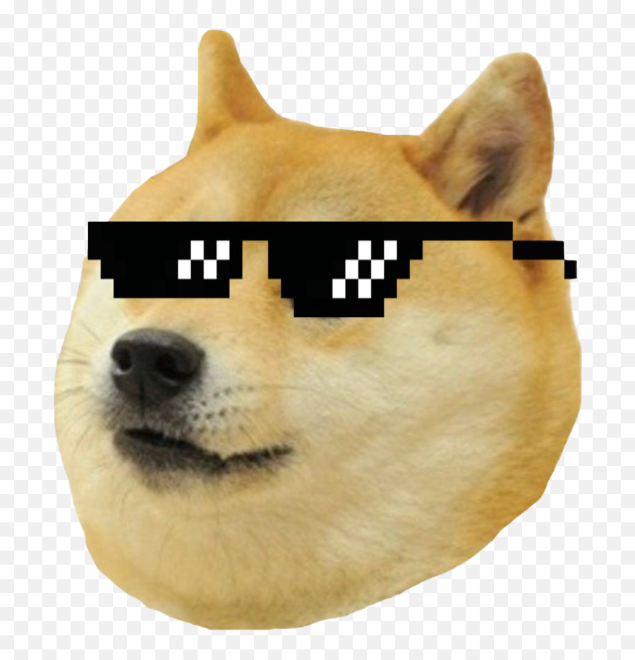 Doge Meme Png Photos Thug Life Meme Dog Doge Png Free Transparent Png Images Pngaaa Com - doge the roblox dog laphing