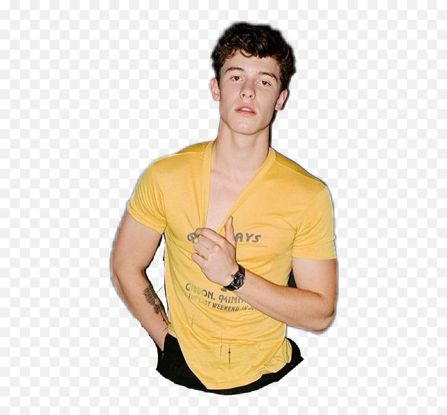 Report Abuse - Shawn Mendes Gay Pride Png,Shawn Mendes Png