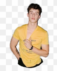 Report Abuse - Shawn Mendes Gay Pride Png,Shawn Mendes Png