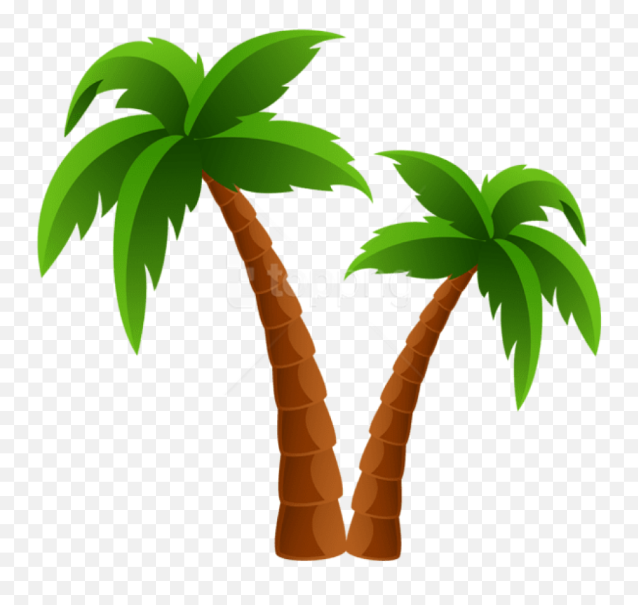 Free Png Download Two Palm Trees - Palm Tree Free Clipart,Banana Tree Png