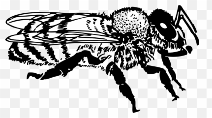 Honey Bee Png Svg Clip Art For Web - Download Clip Art Png Honey Bee Clip Art,Honey Bee Png