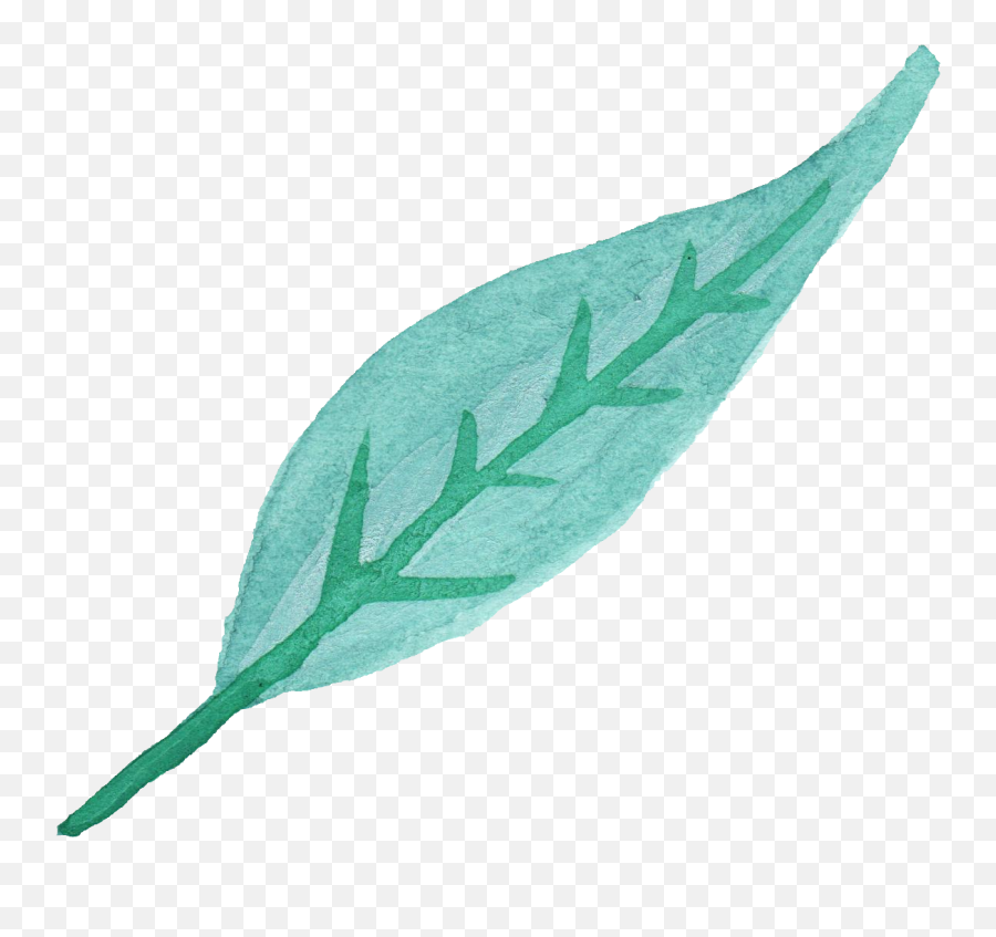Watercolor Leaf Vol - Blue Leaves Png,Mint Leaves Png