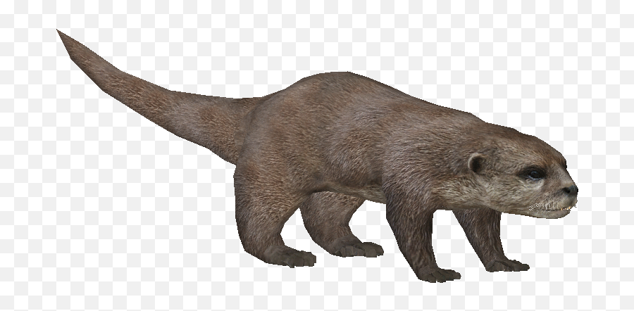 Zoo Tycoon Otter Png - Portable Network Graphics,Otter Png