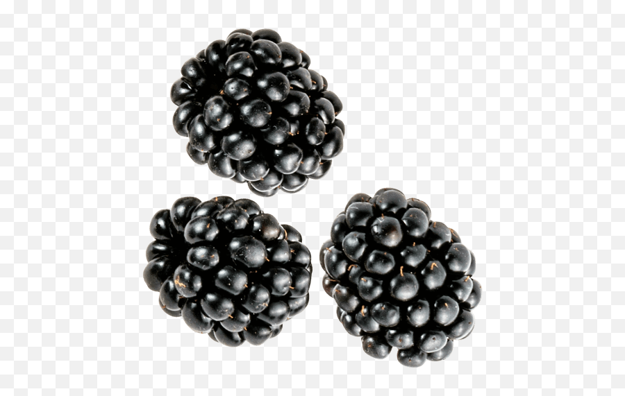 Berries - Be Fresh Produce Blackberry Png,Blackberries Png