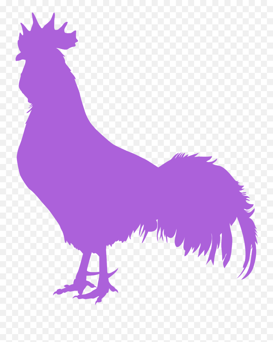 Cockerel Silhouette - Free Vector Silhouettes Creazilla Silhouette Png,Rooster Png