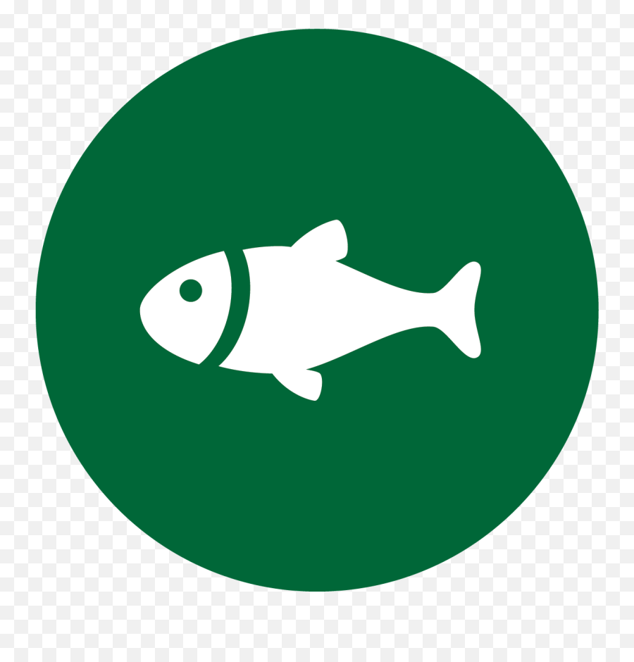 Wintergreen Sporting Club Annual Membership For One Person U2014 - Green Fish Png Icon,Fish Icon Png