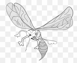 Computer Icons Drawing Marsh Mosquitoes Download Line - Clip Art png