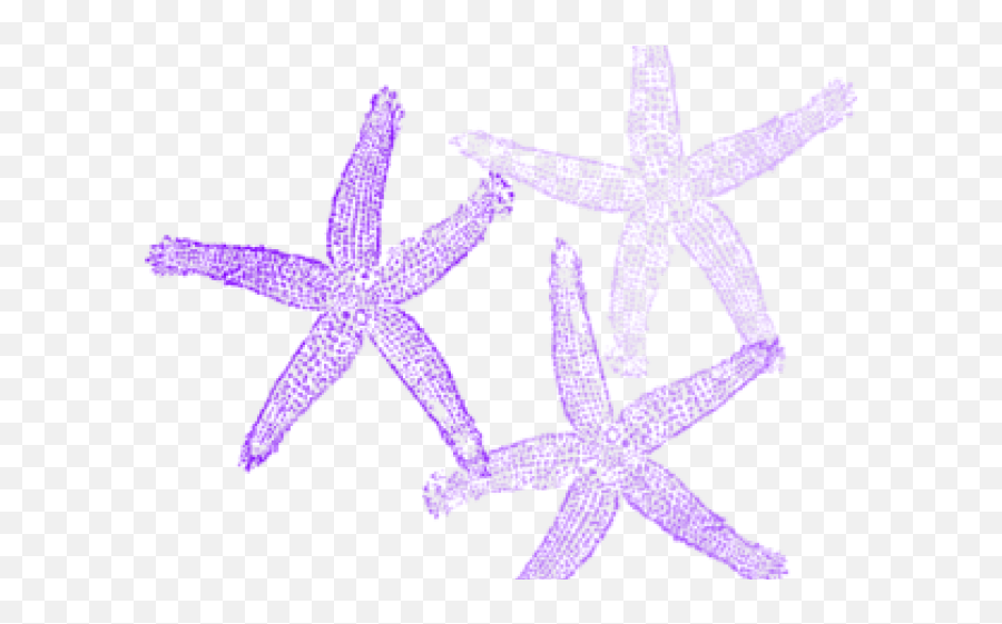 Lavender Clipart Starfish - Transparent Background Mermaid Png Clipart,Starfish Transparent